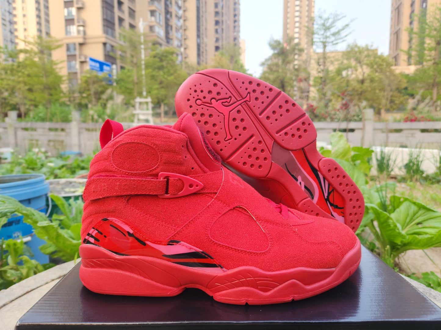 Jordan 8