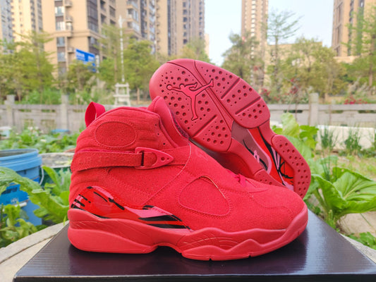 Jordan 8